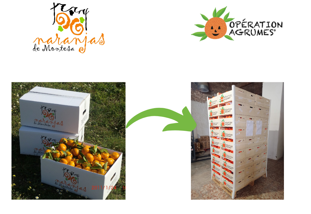 Naranjas de Montesa y Operation Agrumes