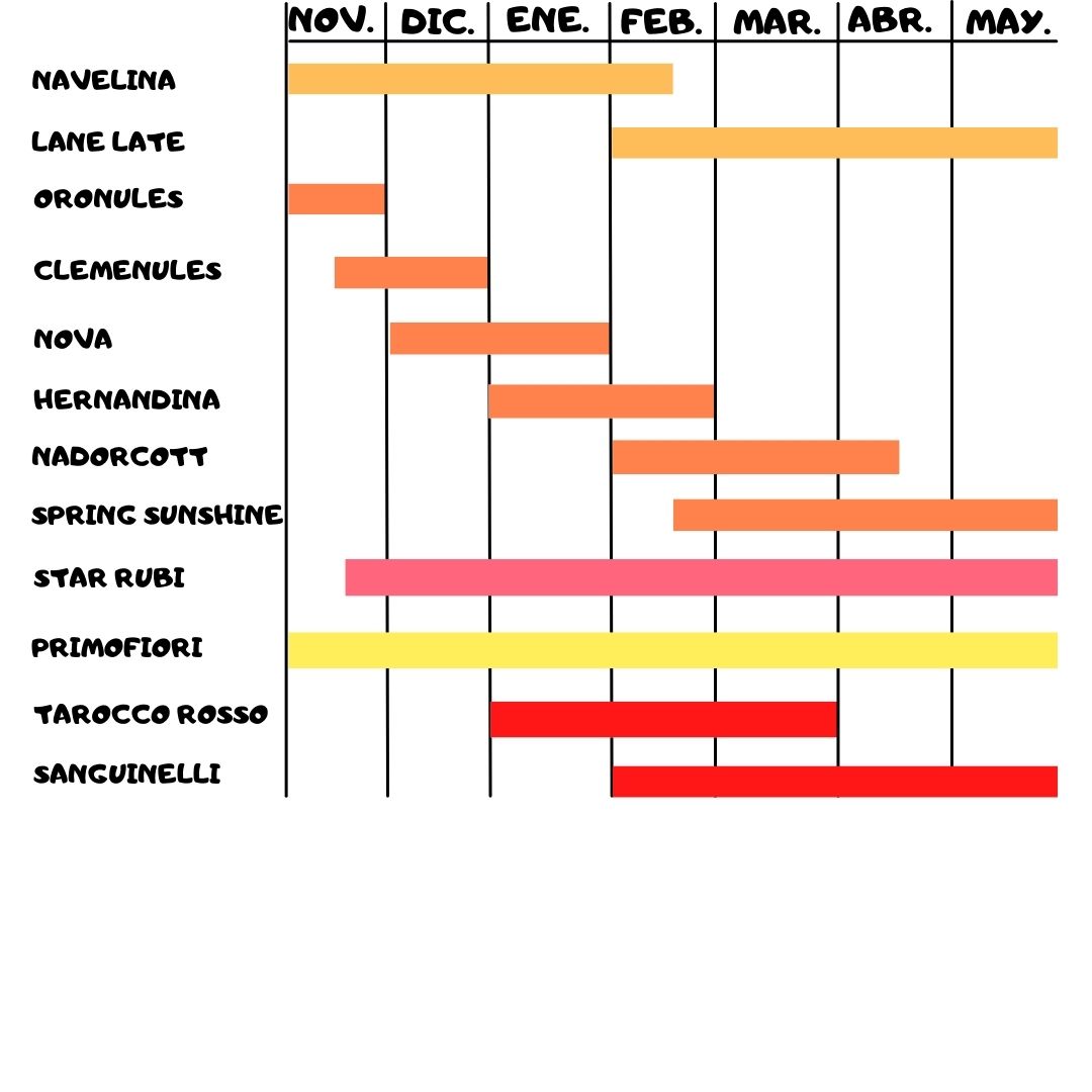 Calendario de Maduración Naranjas de Montesa