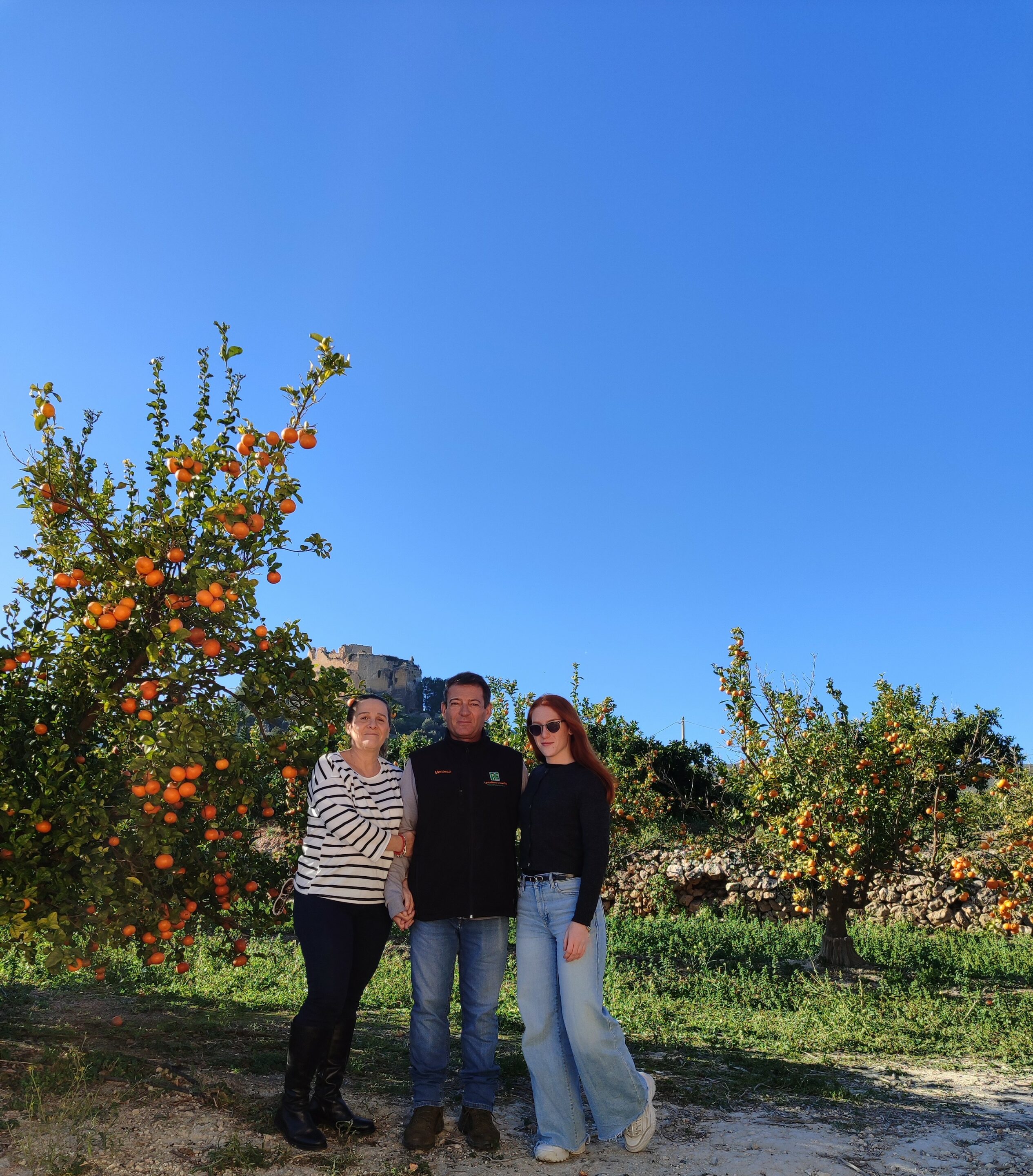 Equipo de Naranjas de Montesa