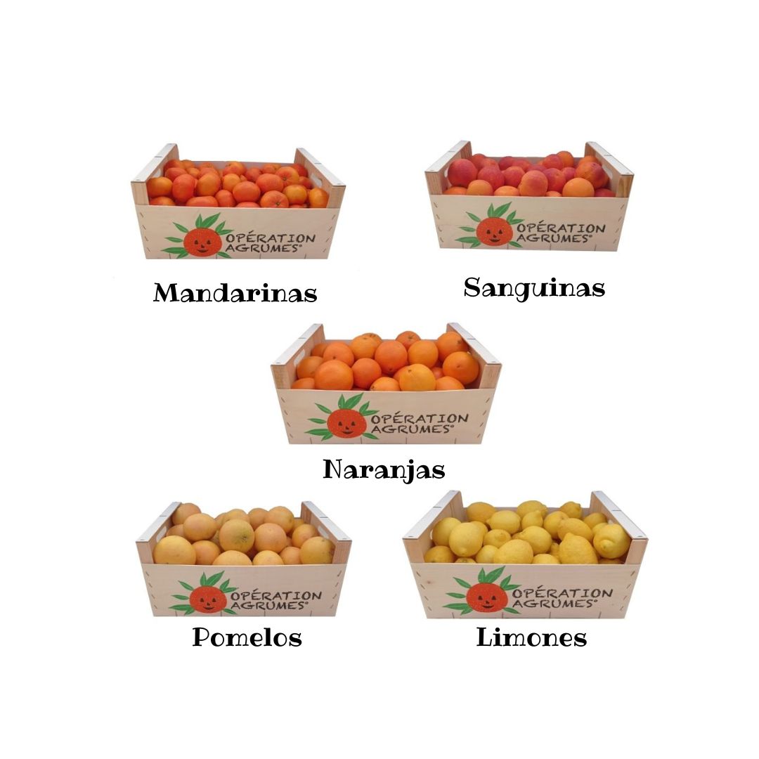 Información de las cajas de venta de Naranjas de Montesa