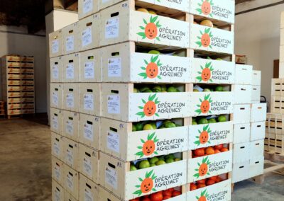 Cajas a domicilio Naranjas de Montesa